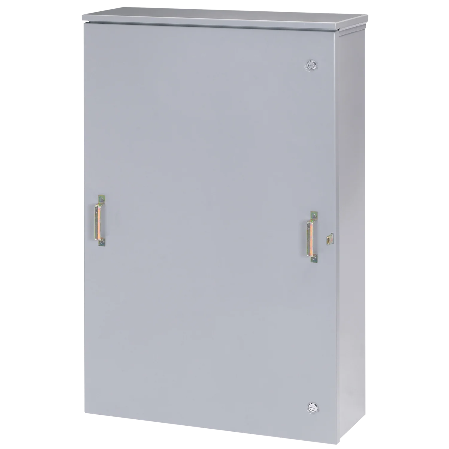 CT Cabinet Hinged-Cover with Bar-Mount and Lugs Type 3R