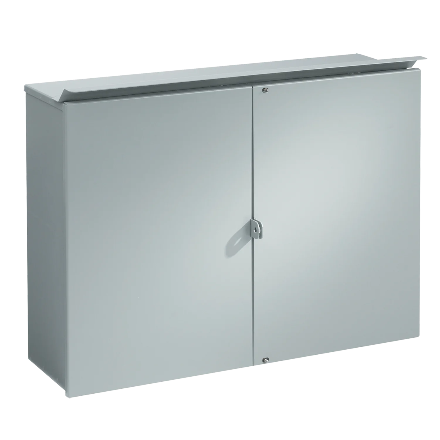 CT Cabinet Hinged-Cover with Steel Panel Type 3R